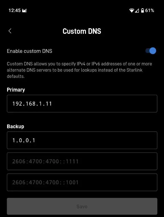 Starlink app custom DNS settings
